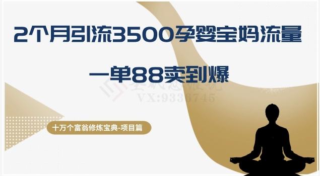 十万个富翁修炼宝典之13.2个月引流3500孕婴宝妈流量，一单88卖到爆-康仁安资源
