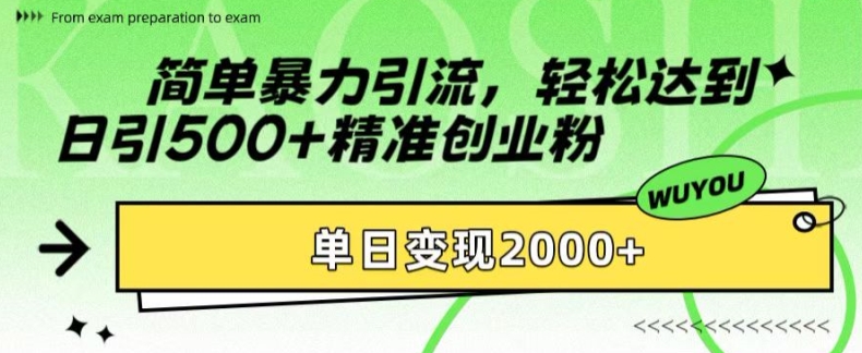 简单暴力引流，轻松达到日引500+精准创业粉，单日变现2k【揭秘】-康仁安资源