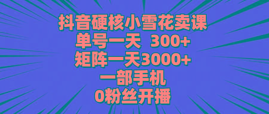 (9551期)抖音硬核小雪花卖课，单号一天300+，矩阵一天3000+，一部手机0粉丝开播-康仁安资源