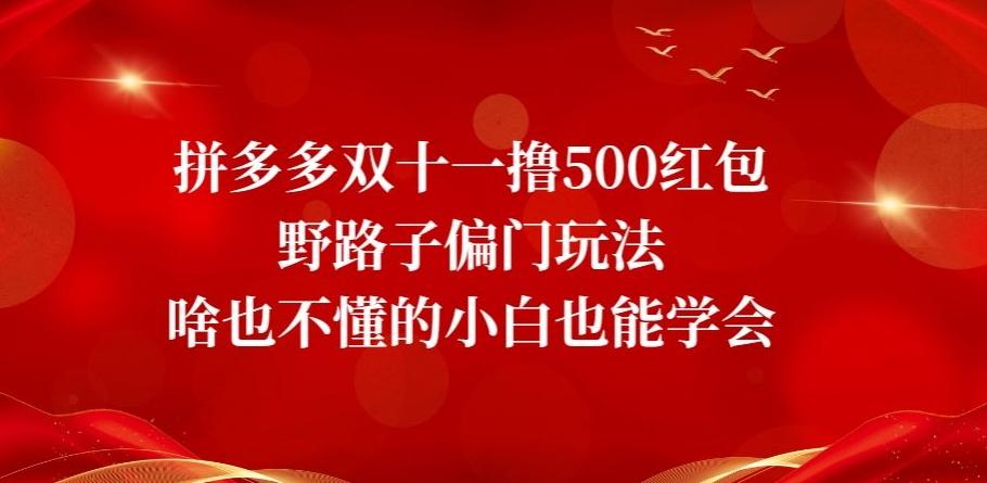 拼多多双十一撸500红包野路子偏门玩法，啥也不懂的小白也能学会【揭秘】-康仁安资源
