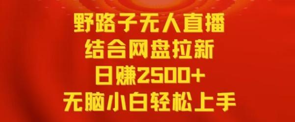野路子无人直播结合网盘拉新，日赚2500+，小白无脑轻松上手【揭秘】-康仁安资源